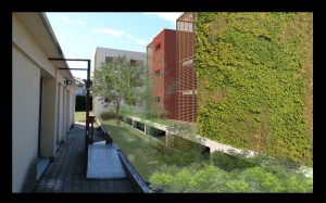 Logements collectifs Montpellier 1